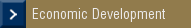 Economic Development