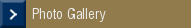 Photo Gallery
